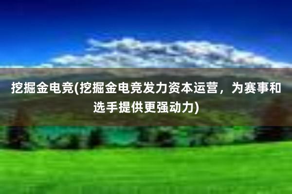 挖掘金电竞(挖掘金电竞发力资本运营，为赛事和选手提供更强动力)