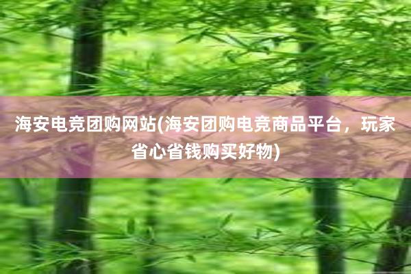 海安电竞团购网站(海安团购电竞商品平台，玩家省心省钱购买好物)