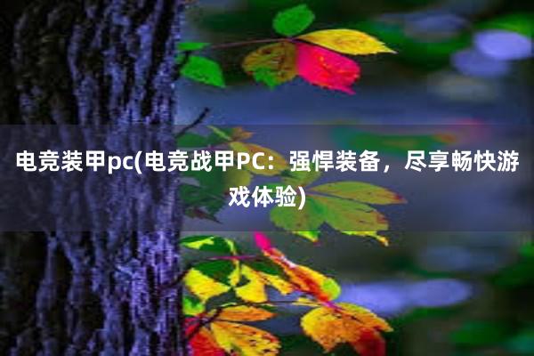 电竞装甲pc(电竞战甲PC：强悍装备，尽享畅快游戏体验)