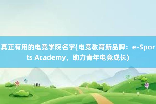 真正有用的电竞学院名字(电竞教育新品牌：e-Sports Academy，助力青年电竞成长)