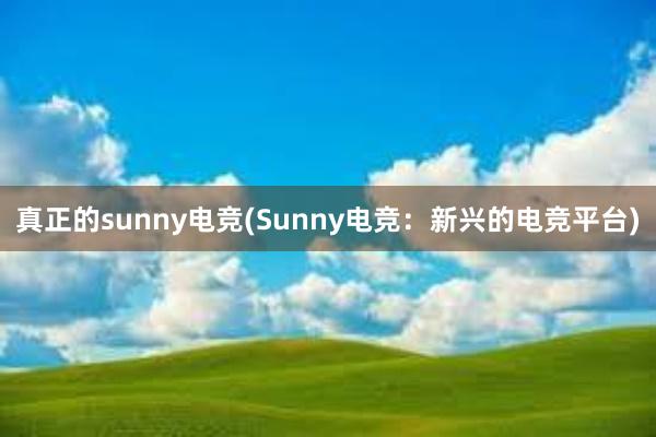 真正的sunny电竞(Sunny电竞：新兴的电竞平台)