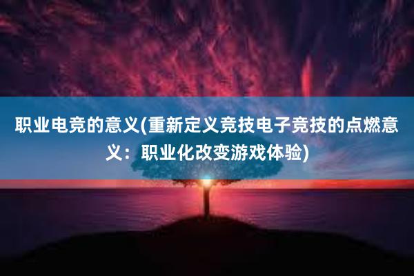 职业电竞的意义(重新定义竞技电子竞技的点燃意义：职业化改变游戏体验)