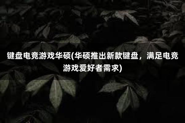 键盘电竞游戏华硕(华硕推出新款键盘，满足电竞游戏爱好者需求)