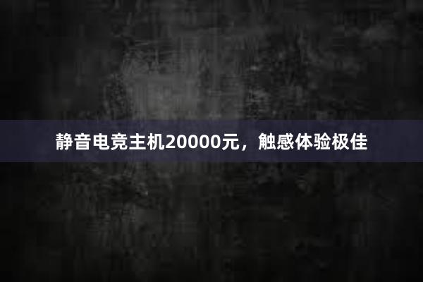 静音电竞主机20000元，触感体验极佳