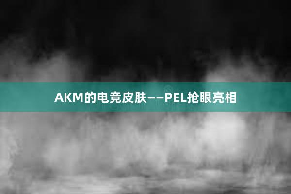 AKM的电竞皮肤——PEL抢眼亮相