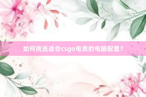 如何挑选适合csgo电竞的电脑配置？