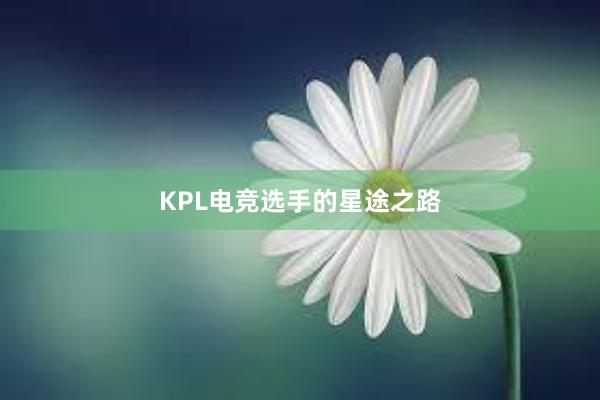 KPL电竞选手的星途之路