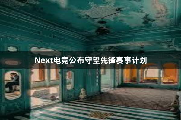 Next电竞公布守望先锋赛事计划