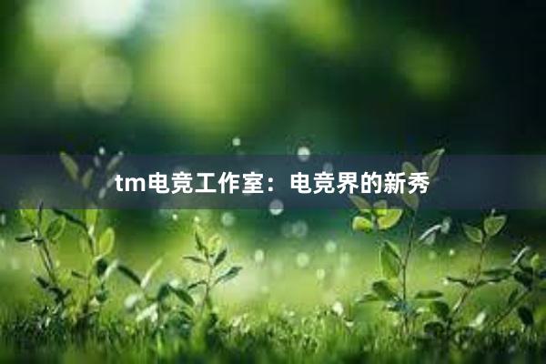 tm电竞工作室：电竞界的新秀