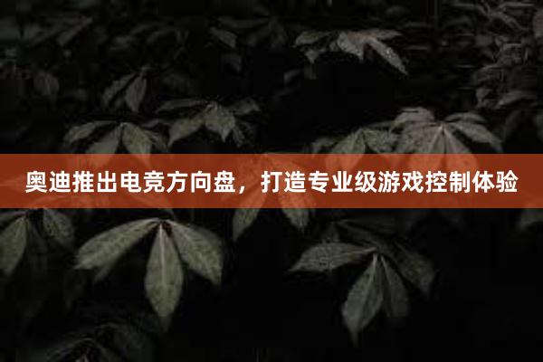 奥迪推出电竞方向盘，打造专业级游戏控制体验