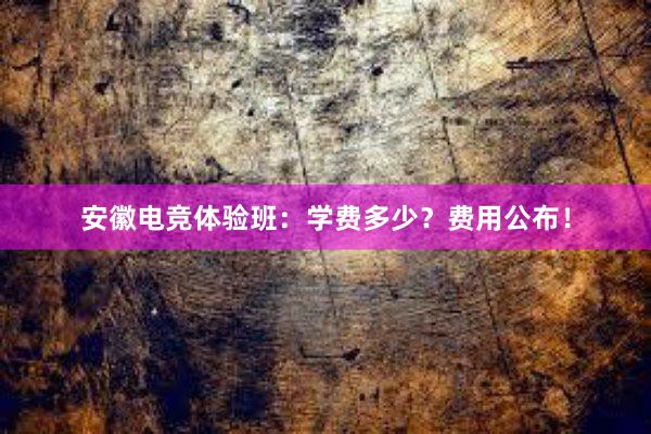 安徽电竞体验班：学费多少？费用公布！