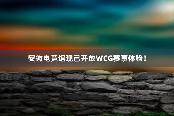 安徽电竞馆现已开放WCG赛事体验！