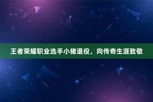 王者荣耀职业选手小猪退役，向传奇生涯致敬