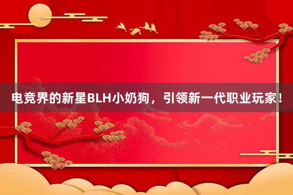 电竞界的新星BLH小奶狗，引领新一代职业玩家！