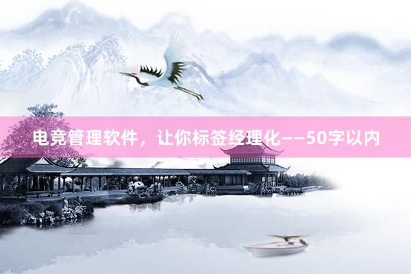 电竞管理软件，让你标签经理化——50字以内