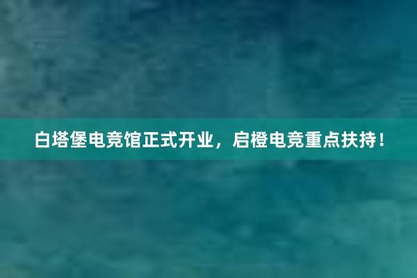 白塔堡电竞馆正式开业，启橙电竞重点扶持！